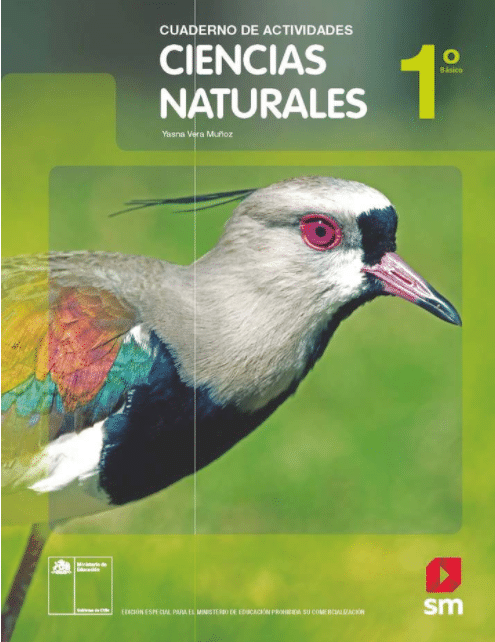 Cuaderno de Actividades de Cicias Naturales 1 Basico